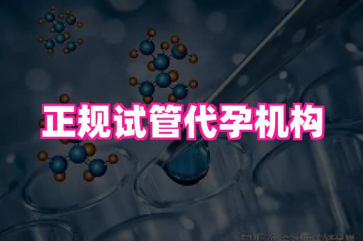 海口助孕网站 1