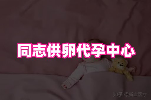 海口助孕网站 4